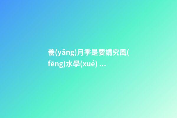 養(yǎng)月季是要講究風(fēng)水學(xué)，四大禁忌記心中